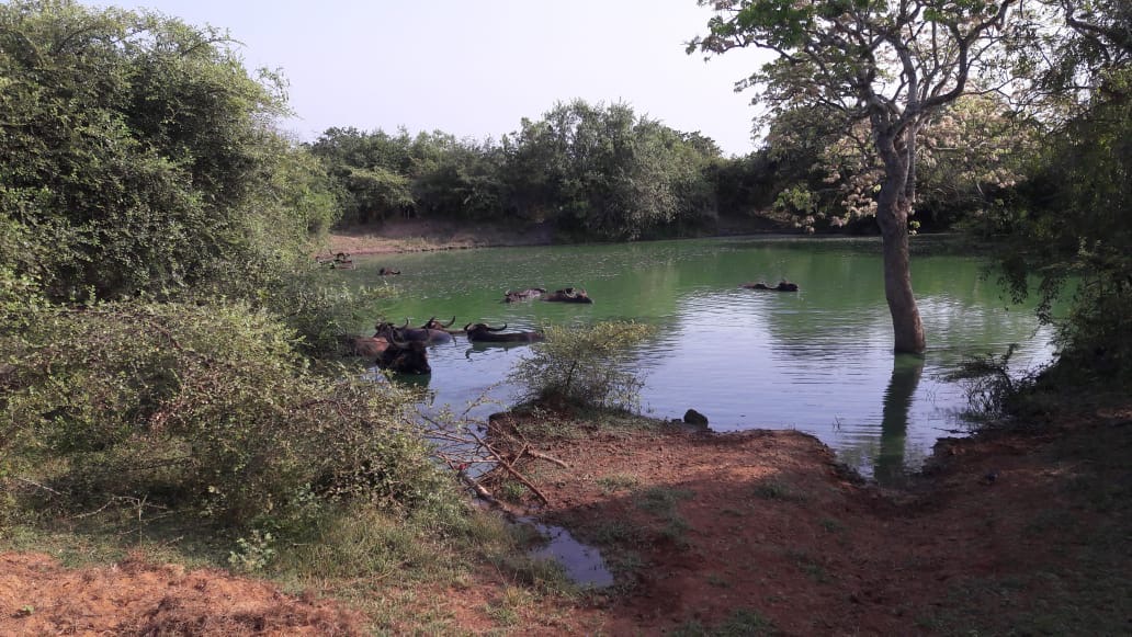 Seasonal Highlights Tour