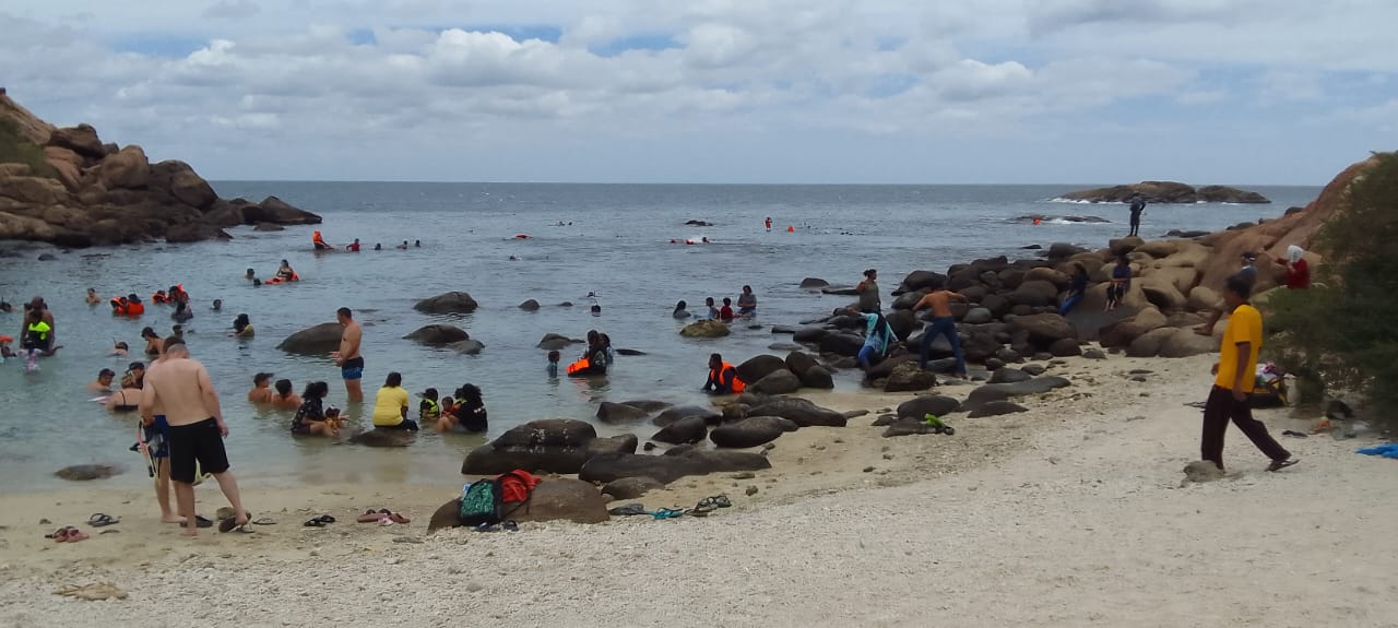 Southern Nature Escapade