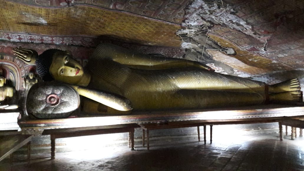 Culture & Nature Intensive